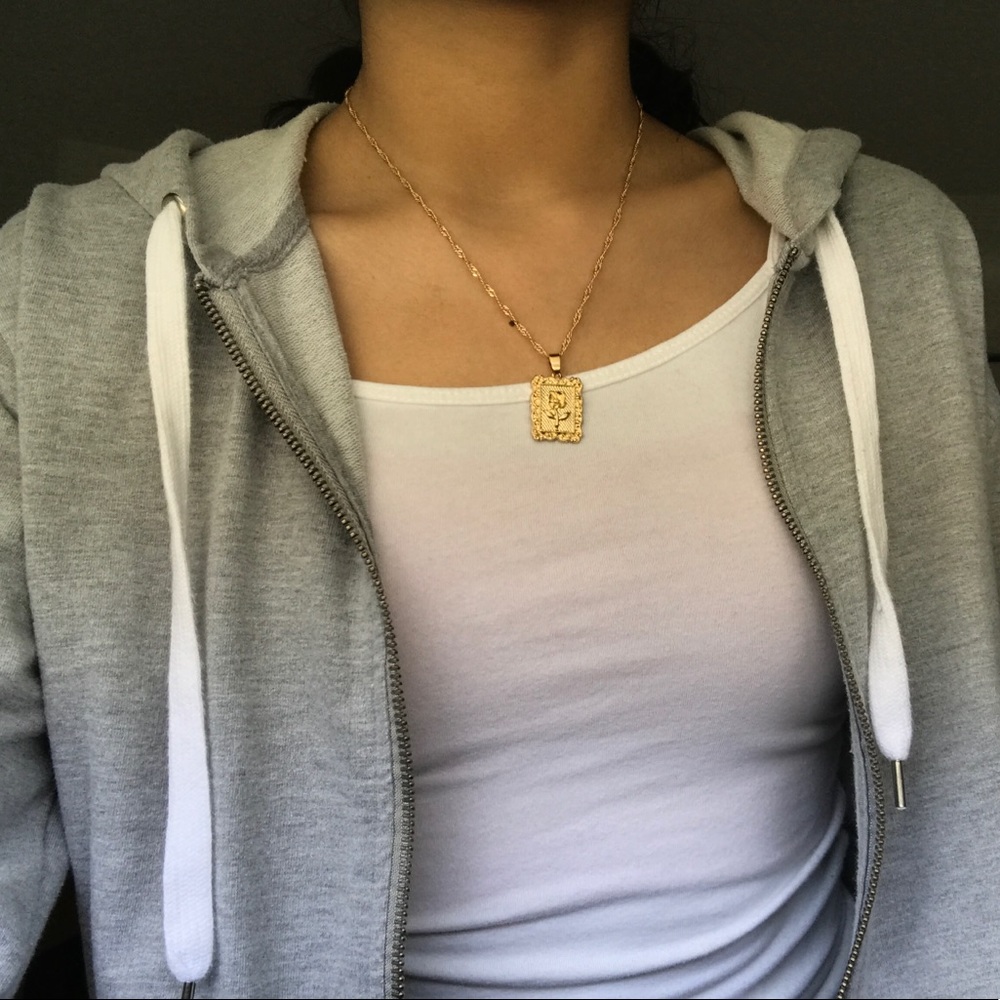 brandy melville zip up hoodie🌬
